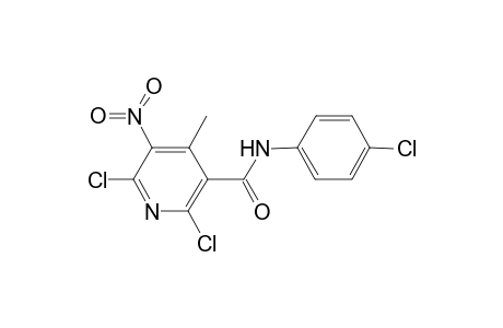 2,6-Dichloro-N-(4-chloro-phenyl)-4-methyl-5-nitro-nicotinamide