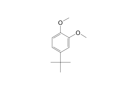 4-(tert-Butyl)-1,2-dimethoxybenzene