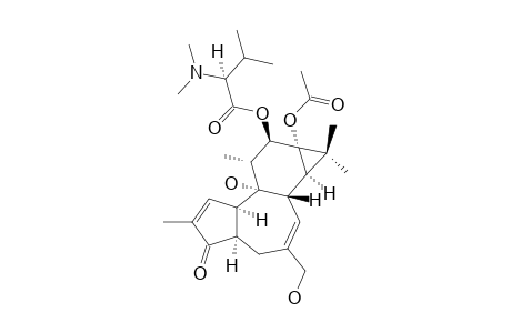 N,N-DIMETHYL-12-(S-VALINOYL)-13-ACETYL-4-ALPHA-4-DEOXYPHORBOL