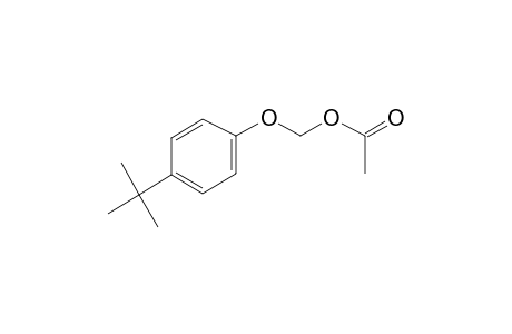 Methanol, [4-(1,1-dimethylethyl)phenoxy]-, acetate