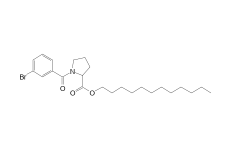 L-Proline, N-(3-bromobenzoyl)-, dodecyl ester