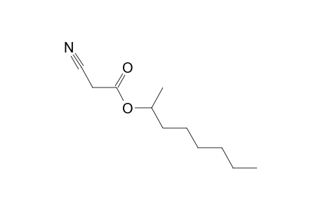 Cyano-acetic acid, 1-methylheptyl ester