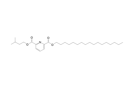 2,6-Pyridinedicarboxylic acid, heptadecyl 3-methylbutyl ester