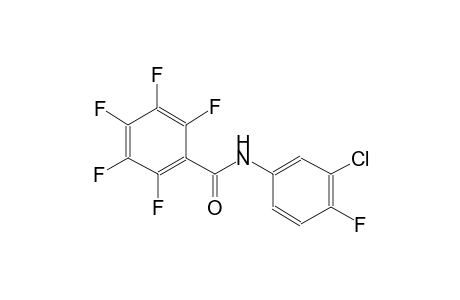 N-(3-Chloro-4-fluorophenyl)-2,3,4,5,6-pentafluorobenzamide