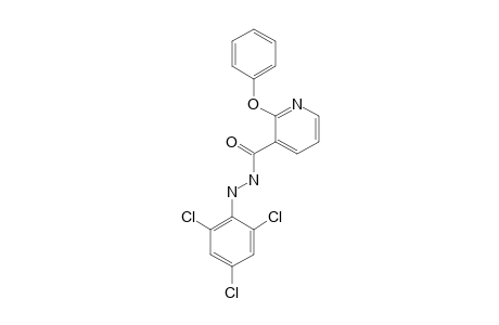 2-phenoxynicotinic acid, 2-(2,4,6-trichlorophenyl)hydrazide