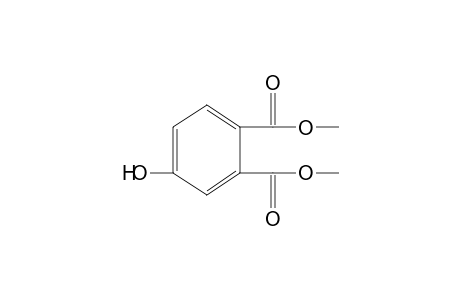 4-hydroxyphthalic acid, dimethyl ester