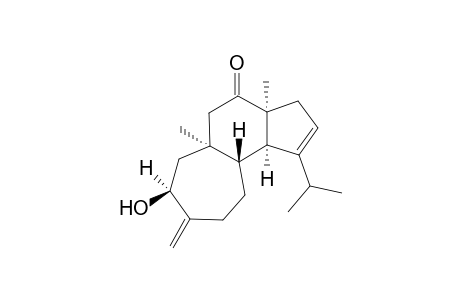 Isoepipolone