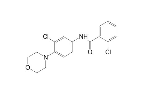 2,3'-dichloro-4'-morpholinobenzanilide
