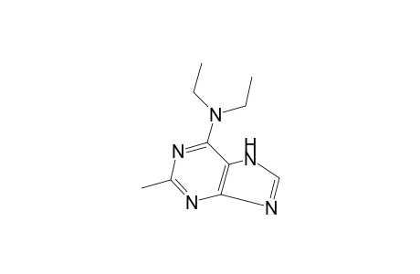 N,N-diethyl-2-methyladenine
