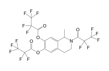 1-Methyl-2-(2,2,3,3,3-pentafluoropropanoyl)-6-[(2,2,3,3,3-pentafluoropropanoyl)oxy]-1,2,3,4-tetrahydro-7-isoquinolinyl 2,2,3,3,3-pentafluoropropanoate