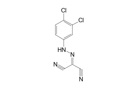 2-[(3,4-Dichlorophenyl)hydrazono]malononitrile