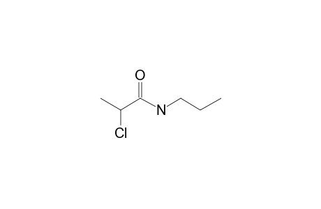 Propionamide, 2-chloro-N-propyl-