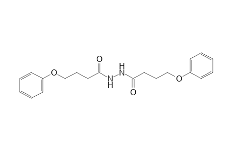 1,2-bis(4-phenoxybutyryl)hydrazine