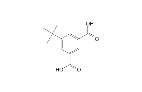 5-tert-BUTYLISOPHTHALIC ACID