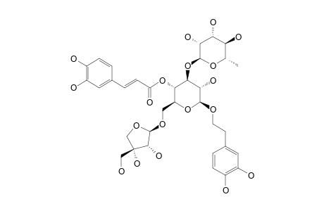 FORSYTHOSIDE_B;BETA-(3,4-DIHYDROXYPHENYL)-ETHYL-4-CAFFEOYL-6-BETA-APIOSYL-3-ALPHA-RHAMNOSYLGLUCOSIDE