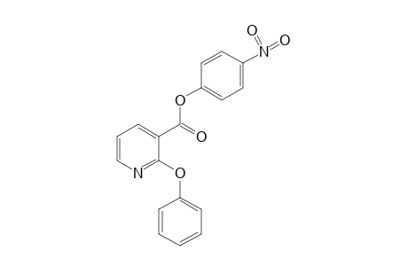 2-PHENOXYNICOTINIC ACID, p-NITROPHENYL ESTER