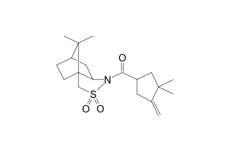 4-Aza-5-thiatricyclo[5.2.1.0(3,7)]decane-5,5-dioxide, (7S)-10,10-dimethyl-4-(1-methylene-2,2-dimethylcyclopentylcarbonyl)-