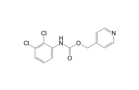 2,3-dichlorocarbanilic acid, (4-pyridyl)methyl ester