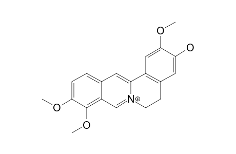 Jatrorrhizine