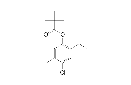 Chlorothymol, trimethylacetate