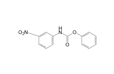 m-Nitrocarbanilic acid, phenyl ester