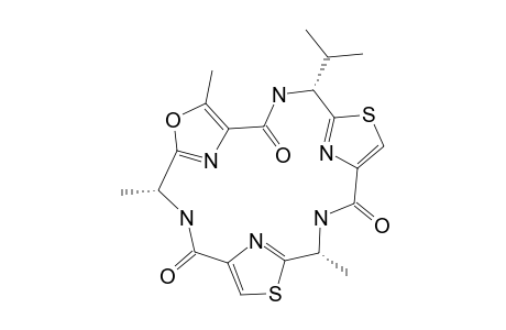 Dendroamide A