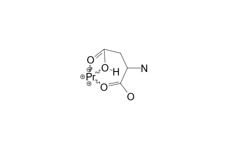 ASPARTATE-PRASEODYMIUM(3)-COMPLEX