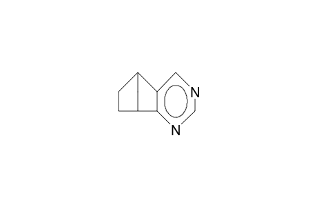 Pyrimidine-4,5-bicyclo(2.2.1)heptene-2