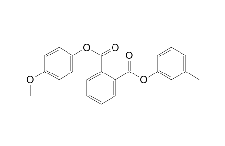 Phthalic acid, 4-methoxyphenyl 3-methylphenyl ester