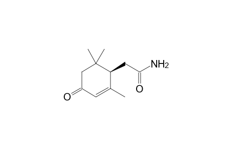 GLAUCENAMIDE;1'R-2-(2',6',6'-TRIMETHYL-4-OXO-2-CYCLOHEXENYL)-ETHANAMIDE