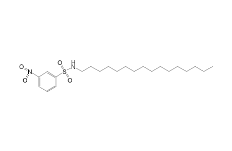 N-hexadecyl-m-nitrobenzenesulfonamide