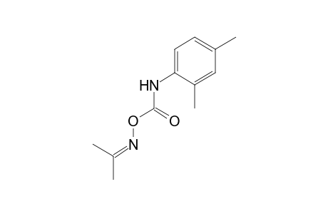 acetone, O-[(2,4-xylyl)carbamoyl]oxime