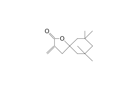 7,7,9,9-Tetramethyl-3-methylen-1-oxaspiro-[4.5]-decan-2-on