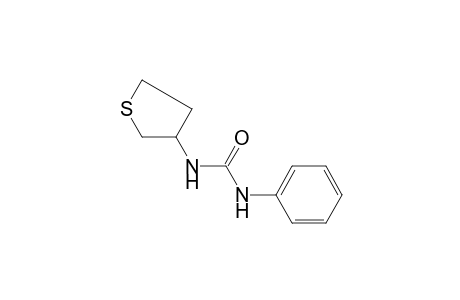 1-phenyl-3-(tetrahydro-3-thienyl)urea