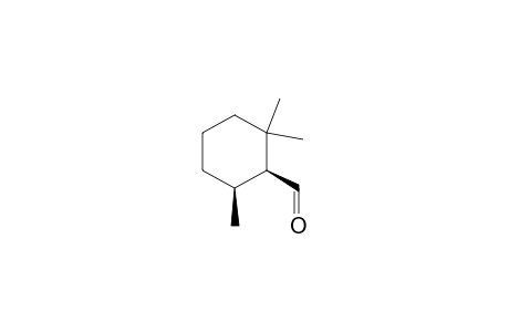 (-)-(1S,6S)-2,2,6-TRIMETHYLCYCLOHEXANE-1-CARBALDEHYDE