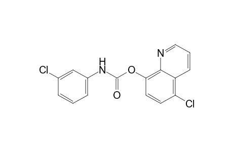 5-chloro-8-quinolinol, m-chlorocarbanilate (ester)