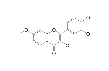 3-Hydroxy-2-(3,4-dihydroxyphenyl)-7-methoxy-4H-chromen-4-one