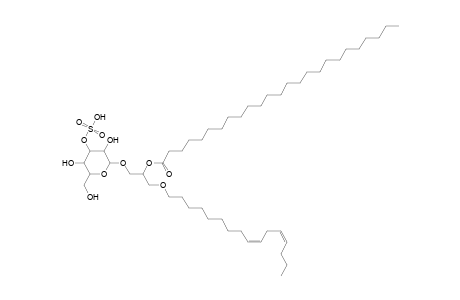 SMGDG O-16:2_25:0