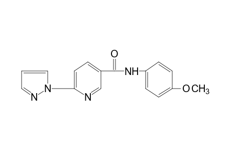 6-(PYRAZOL-1-YL)-p-NICOTINANISIDIDE