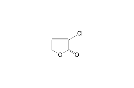3-chloro-2(5H)-furanone