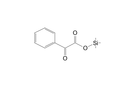 Benzeneacetic acid, .alpha.-oxo-, trimethylsilyl ester