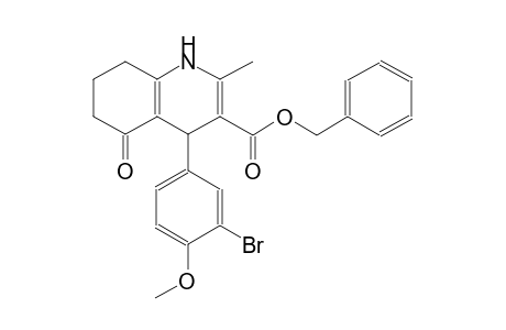 benzyl 4-(3-bromo-4-methoxyphenyl)-2-methyl-5-oxo-1,4,5,6,7,8-hexahydro-3-quinolinecarboxylate