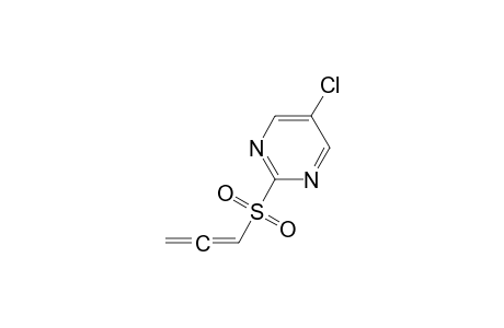 5-Chloranyl-2-propa-1,2-dienylsulfonyl-pyrimidine