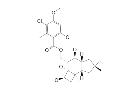 MELLEOLIDE-R