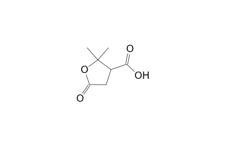 2,2-Dimethyl-5-oxotetrahydro-3-furoic acid