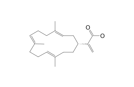 2-[1R-4,8,12-Trimethyl-3E,7E,11E-cyclotetradecatrien-1-yl]propenoic acid