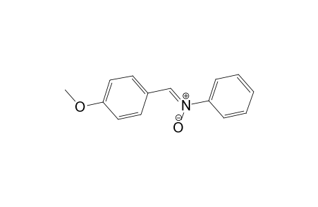 alpha-(p-METHOXYPHENYL)-N-PHENYLNITRONE