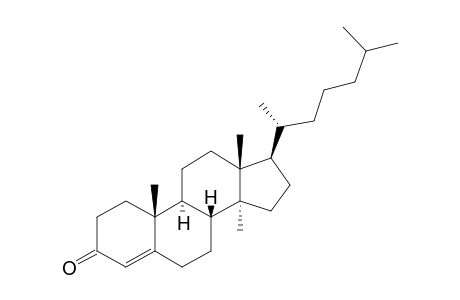 Cholest-4-en-3-one, 14-methyl-