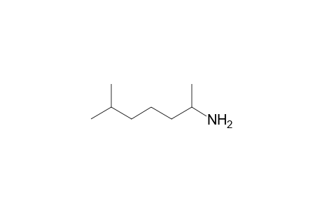 1,5-Dimethylhexylamine