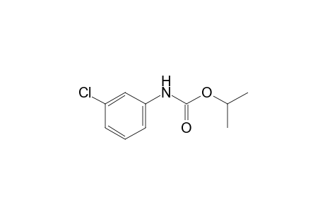 Chlorpropham